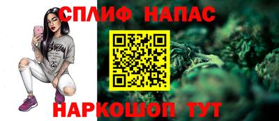 прущие грибы Конаково